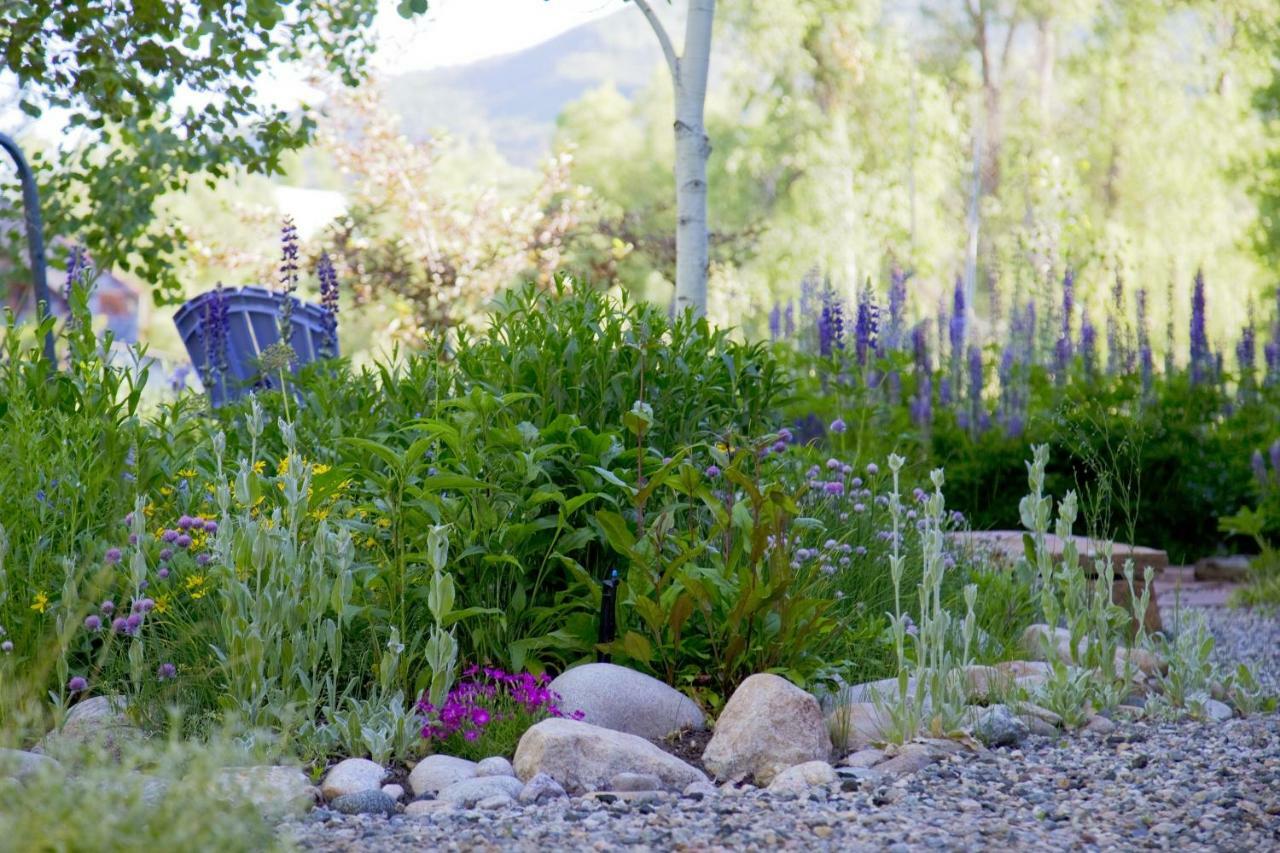 Mariposa Lodge Bed And Breakfast Steamboat Springs Bagian luar foto
